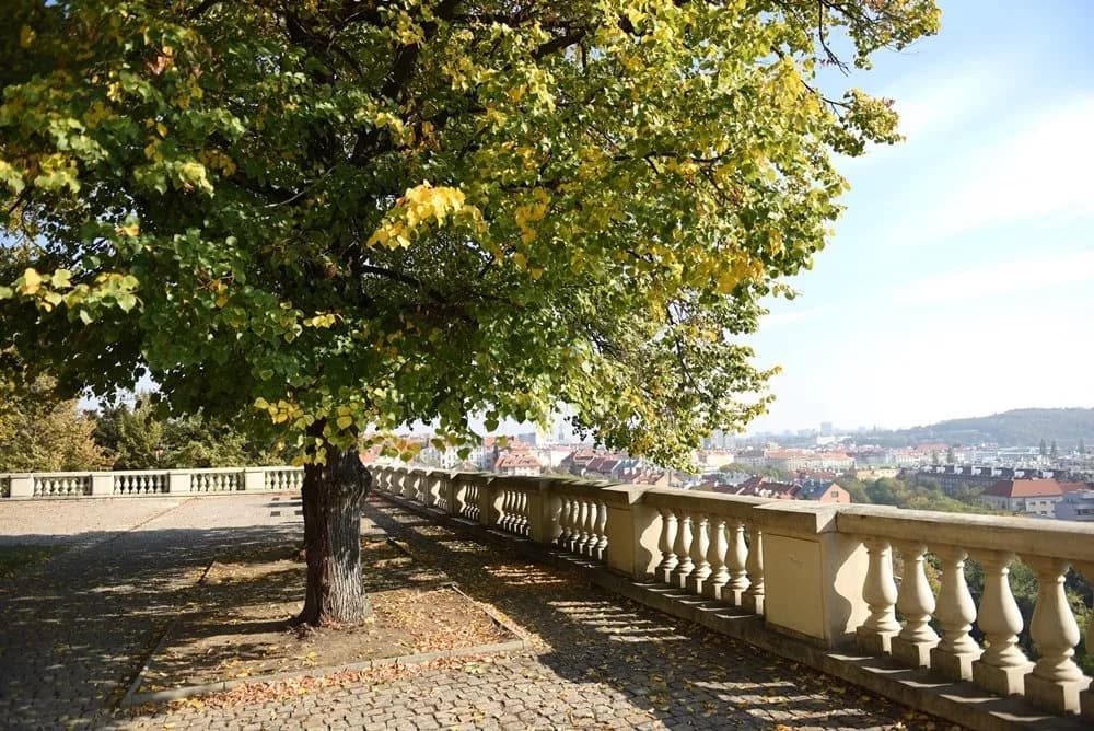 Hledáte nový byt? 4 důvody, proč si k bydlení vybrat Vinohrady