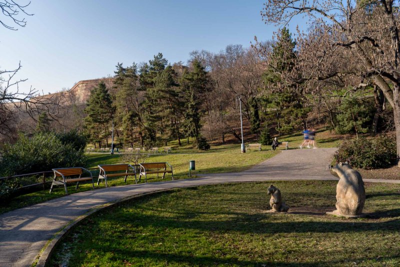 V parku Folimanka najdete jak dětská hřiště, tak běžecké trasy 